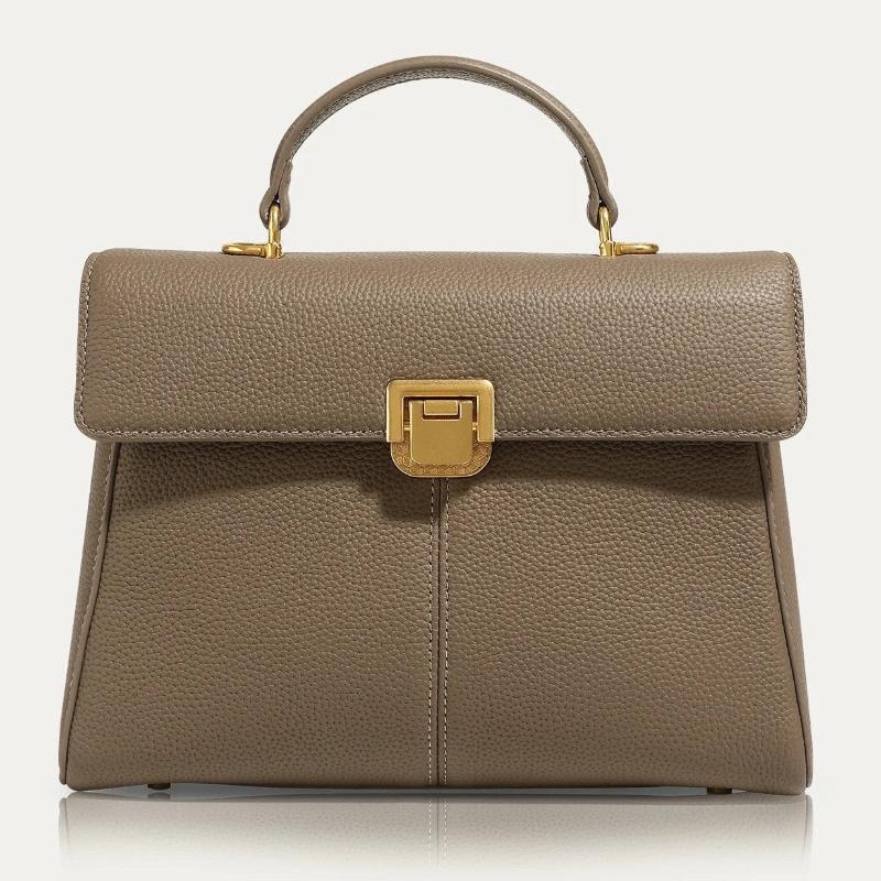 Brown leather handbag with gold clasp on a white background
